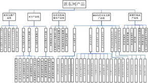 新東網(wǎng)科技 卓越網(wǎng)絡(luò)技術(shù)服務(wù)引領(lǐng)數(shù)字化未來